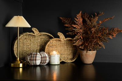 2025 Fall Joy Box Style Guide