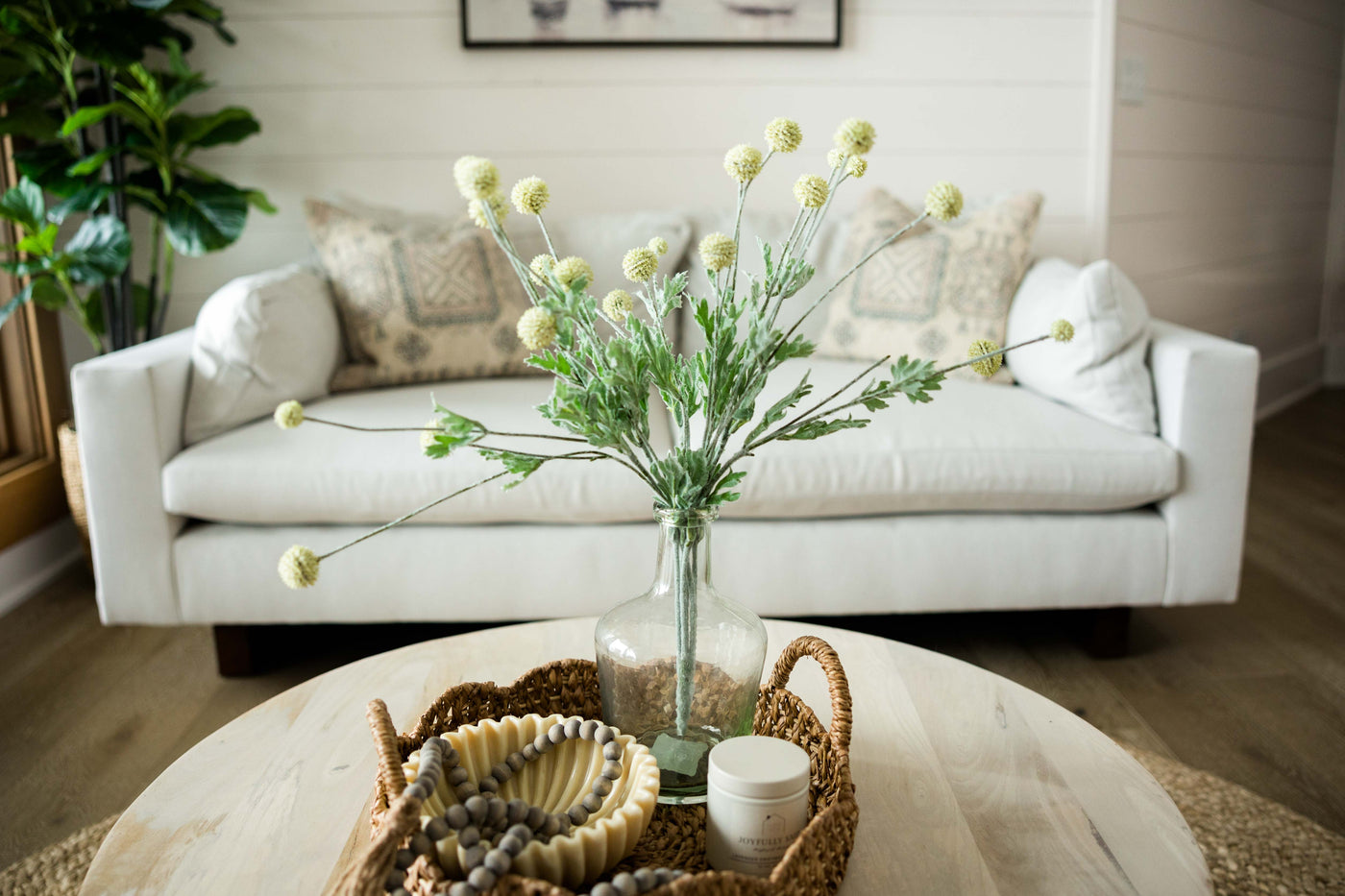 Shop the Coffee Table Look