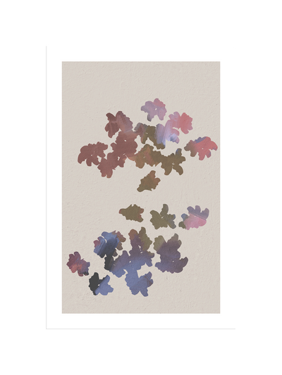 Salutation | Cassidy Miller