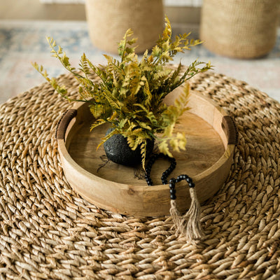 Rooted Autumn Fern