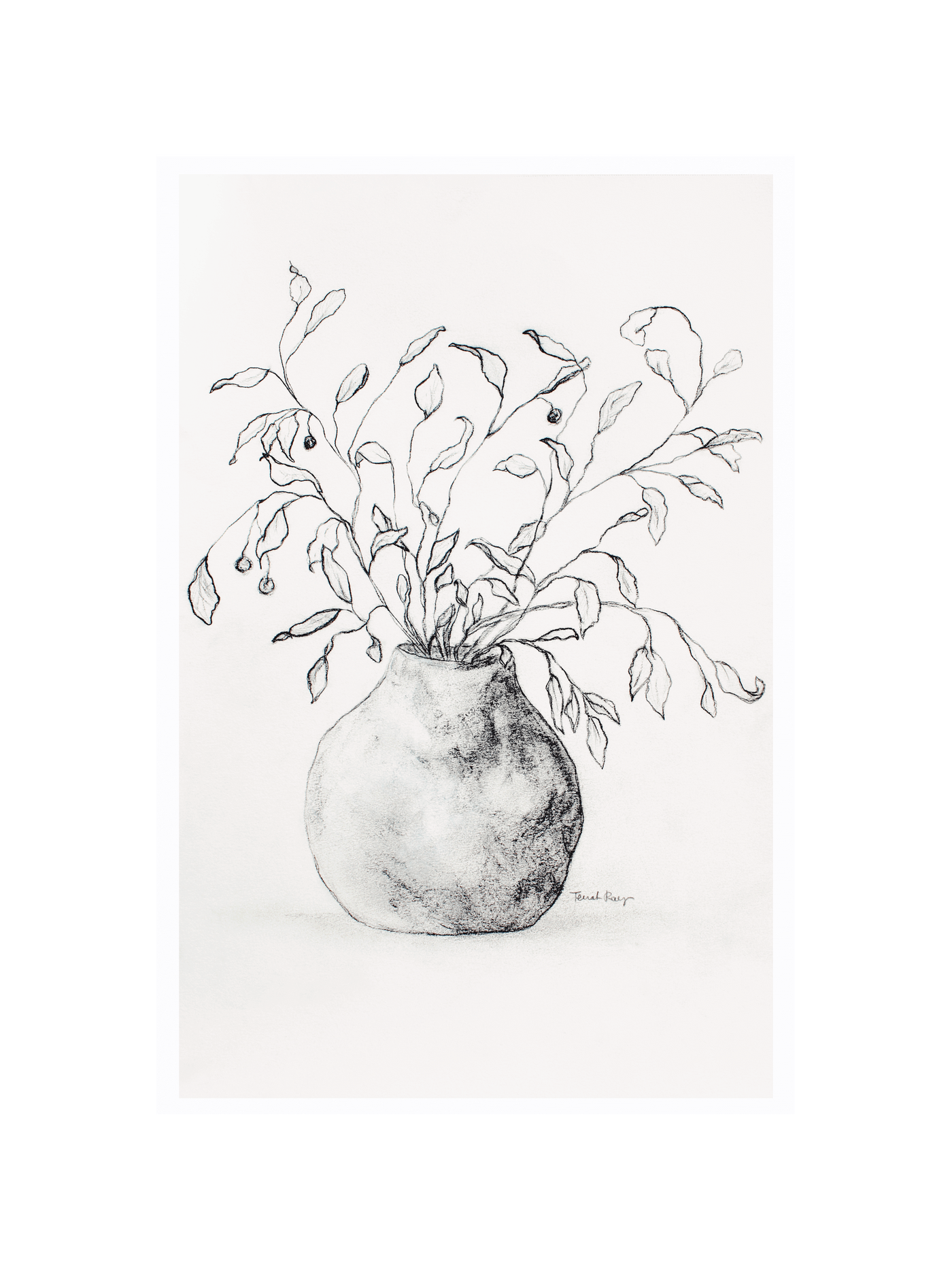 Olive + Terracotta | Terrah Ray