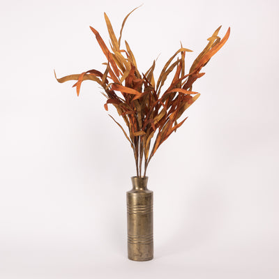 Golden Isles Bush | 2 Styles