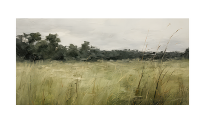 Meadow
