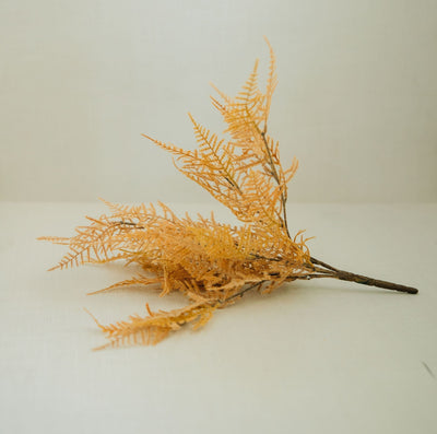 Fernbank Bush | 3 Colors