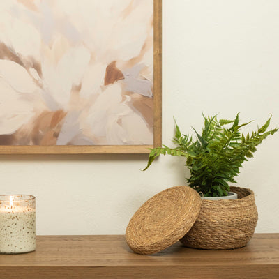 Fern in Cement Pot