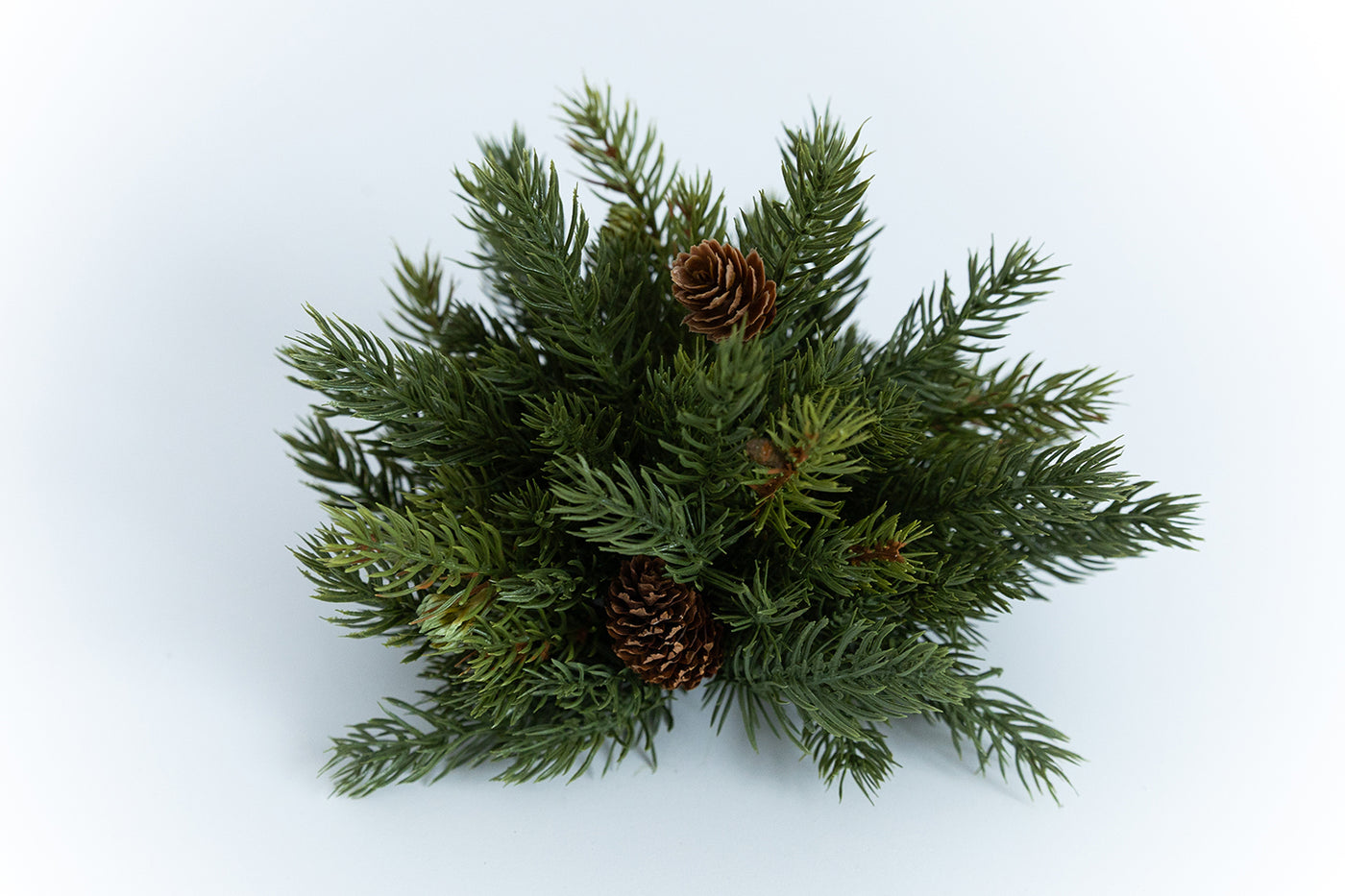 White Spruce Half Sphere