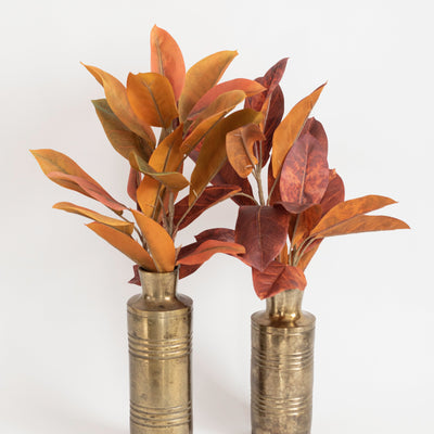 Catalpa Bush | 2 Styles