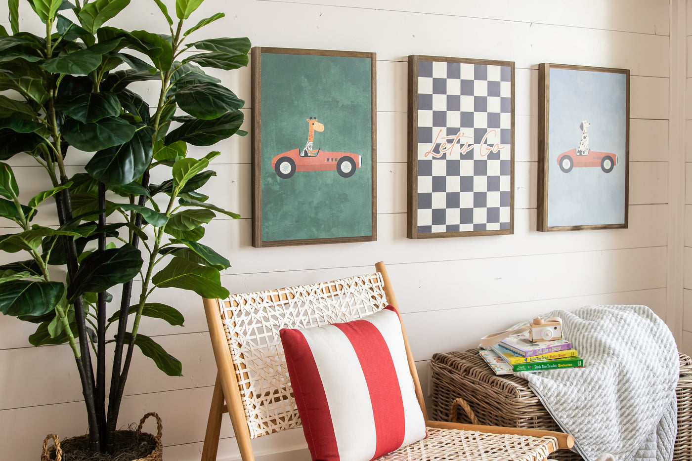 Wild Racer Collection