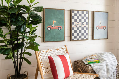 Wild Racer Collection