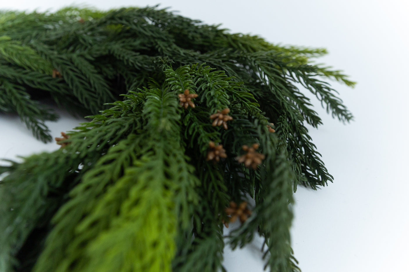 Norfolk Cascade Wreath