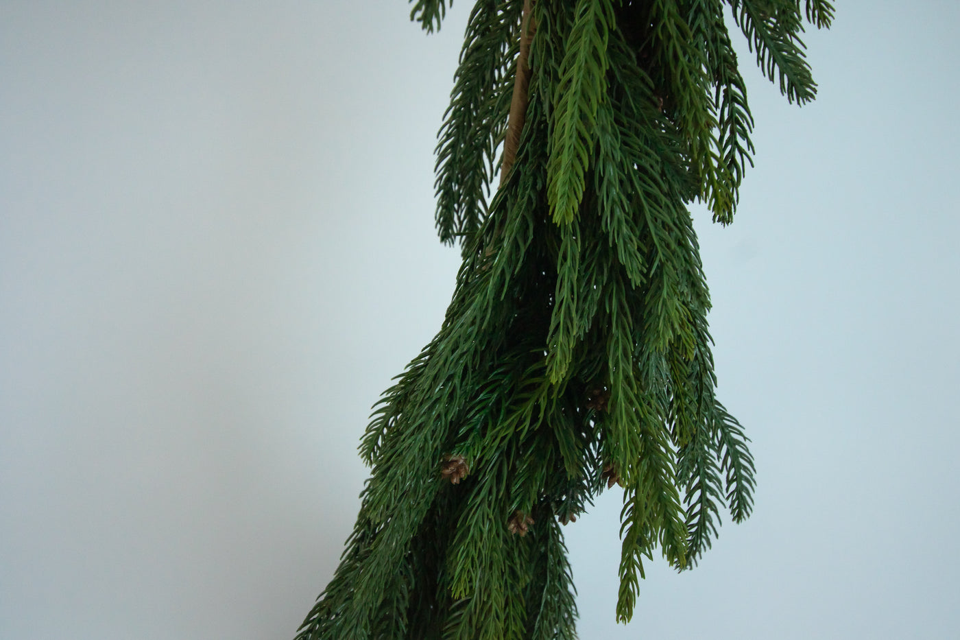 Norfolk Cascade Garland