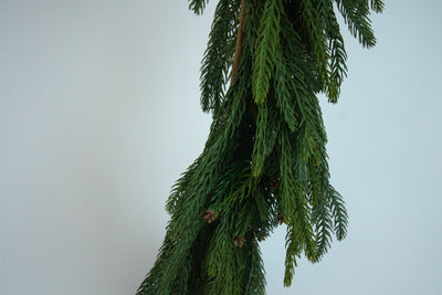 Norfolk Cascade Garland