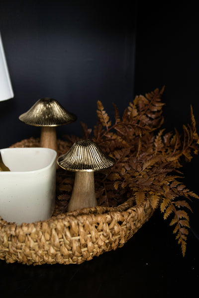 Autumn Fern Bundle