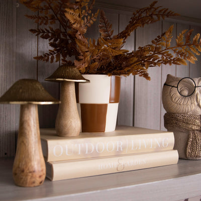 Autumn Fern Bundle