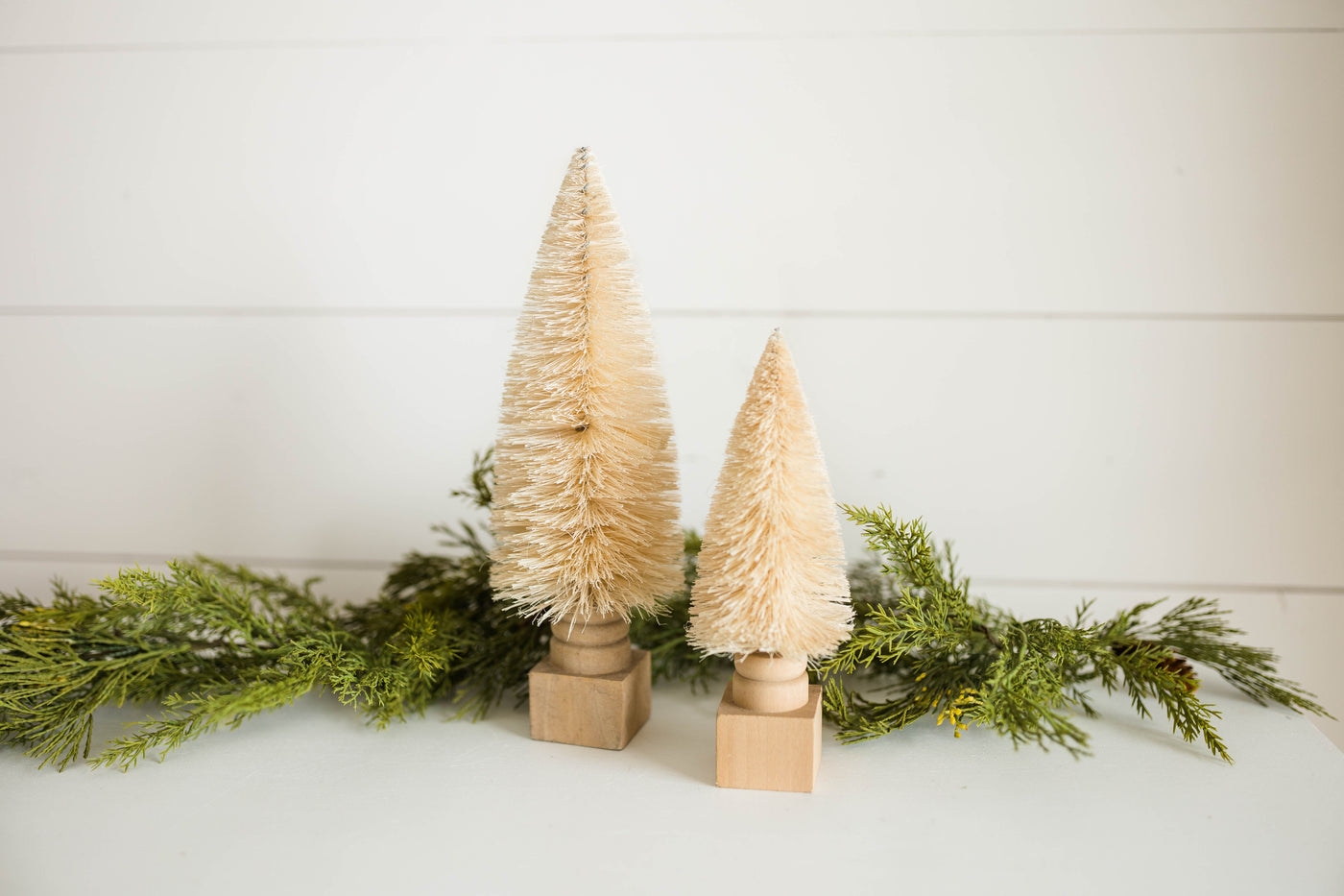 Cream Bottle Brush Tree | 2 Sizes