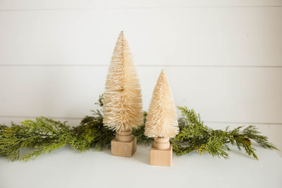 Cream Bottle Brush Tree | 2 Sizes