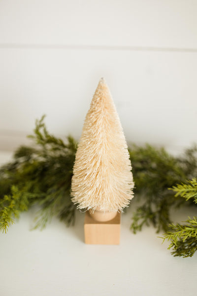 Cream Bottle Brush Tree | 2 Sizes