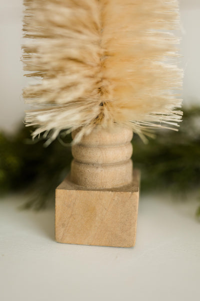 Cream Bottle Brush Tree | 2 Sizes