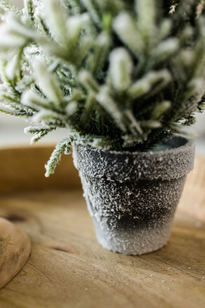 Frosted Evergreen Tree