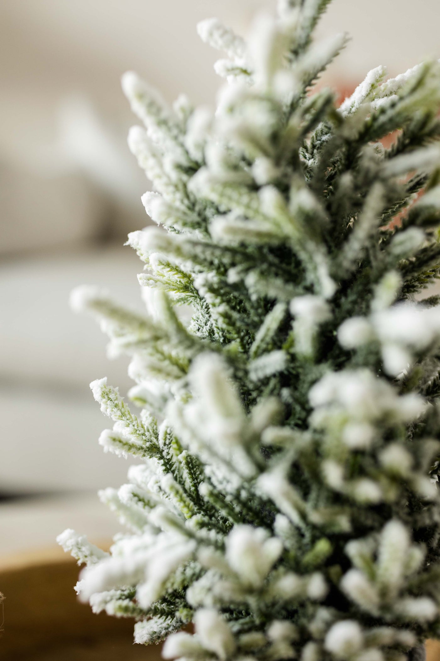 Frosted Evergreen Tree