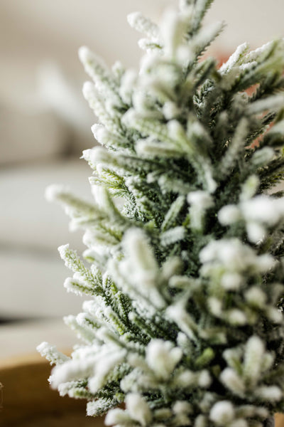 Frosted Evergreen Tree