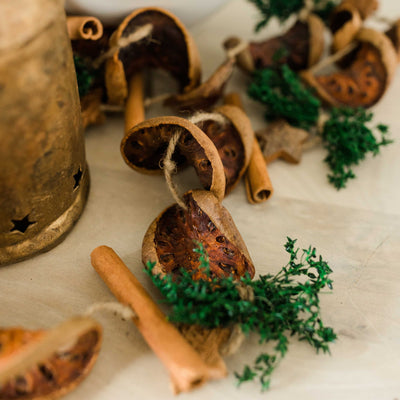 Orange + Spice Dried Garland