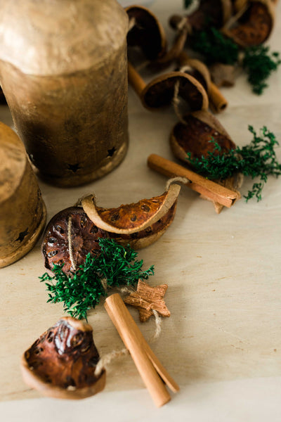 Orange + Spice Dried Garland