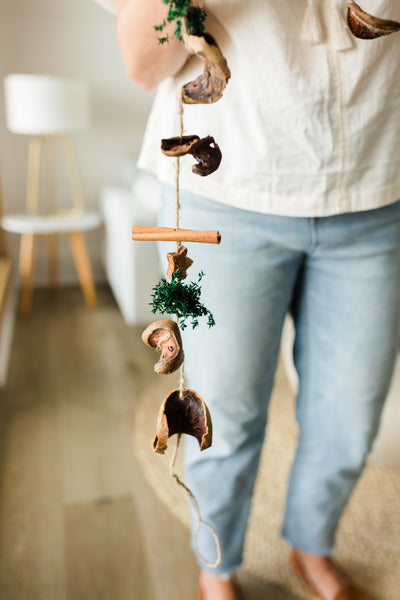 Orange + Spice Dried Garland