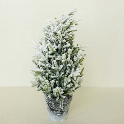 Frosted Evergreen Tree