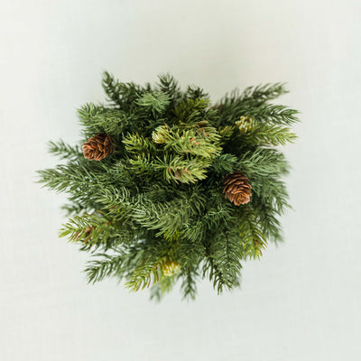 Spruce Half Sphere