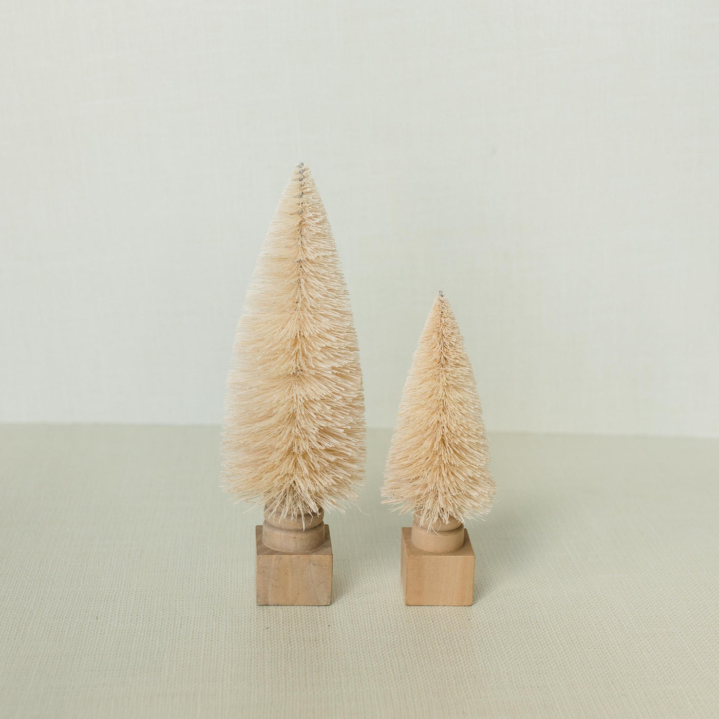 Cream Bottle Brush Tree | 2 Sizes