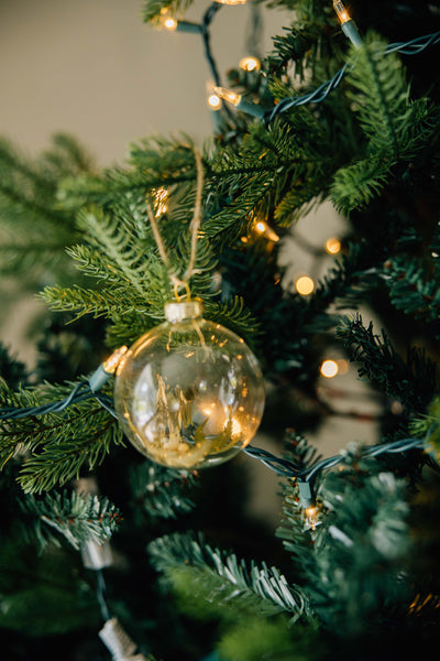 Dried Botanicals Glass Ball Ornament | Set of 6