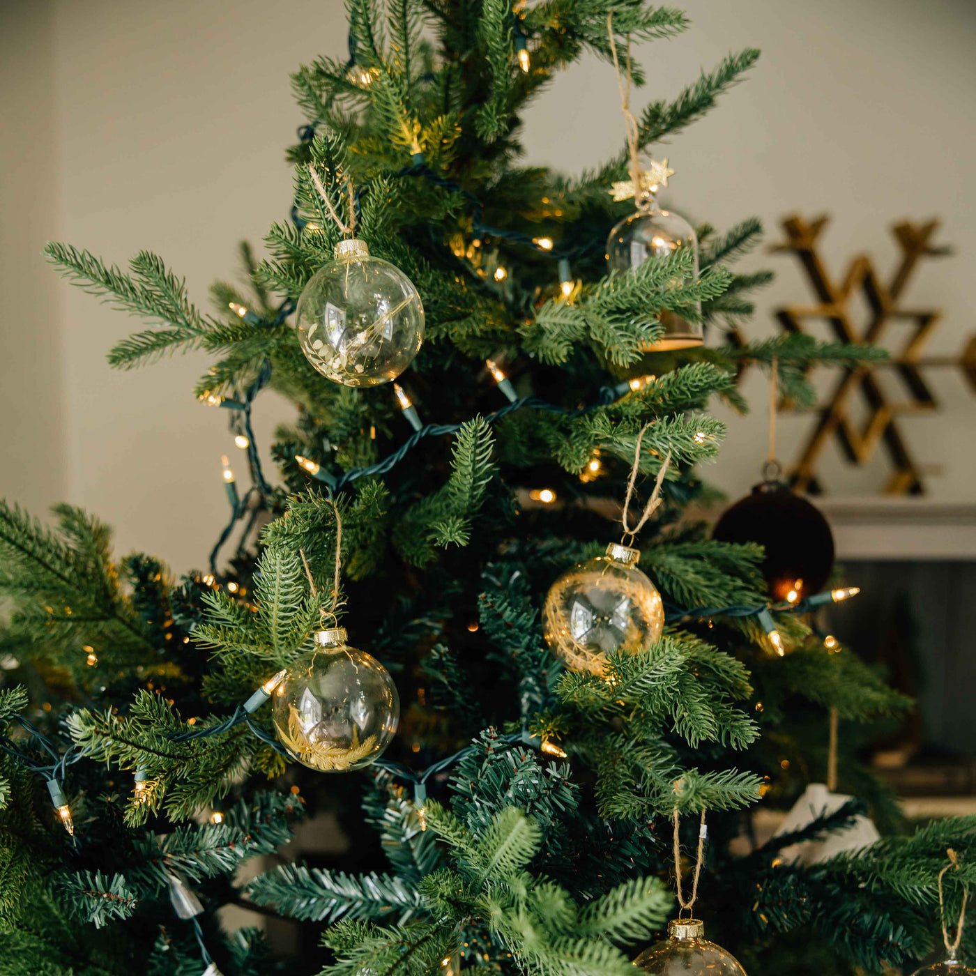 Dried Botanicals Glass Ball Ornament | Set of 6