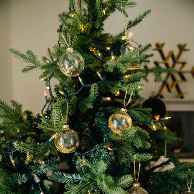 Dried Botanicals Glass Ball Ornament | Set of 6