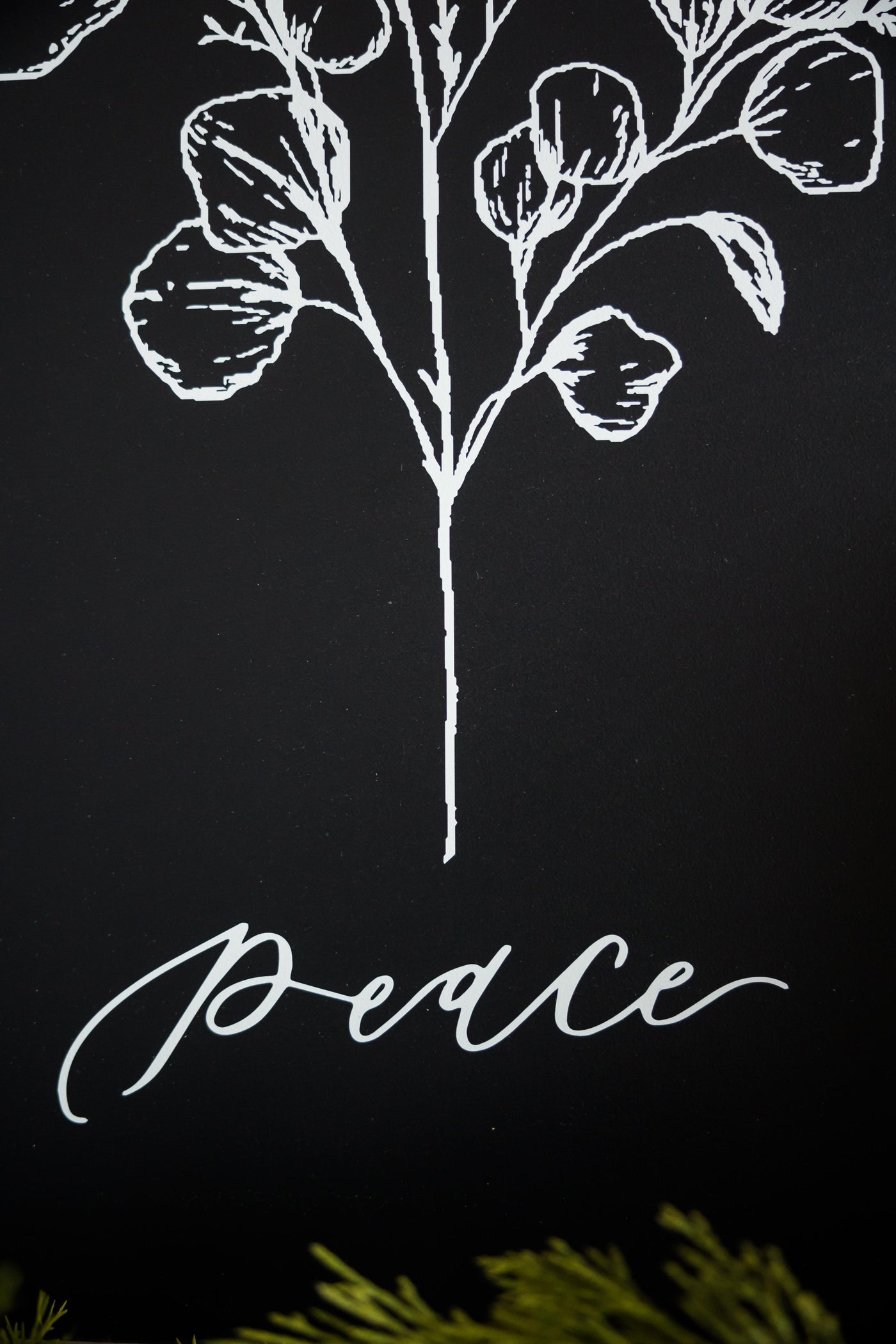 Peace Botanical | McKenzie Beiler