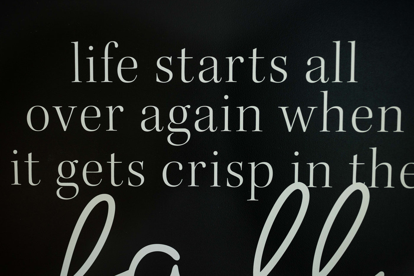 Life Starts Over