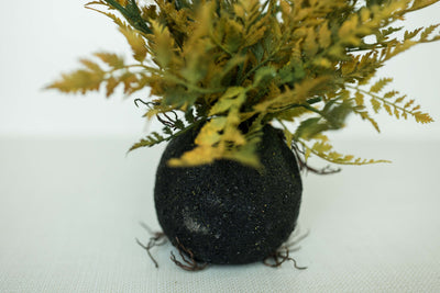 Rooted Autumn Fern