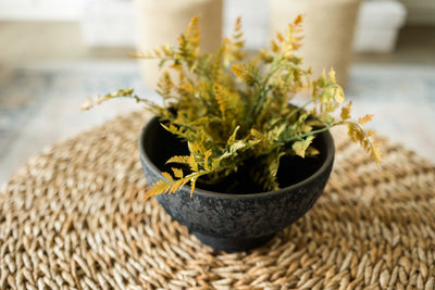 Rooted Autumn Fern