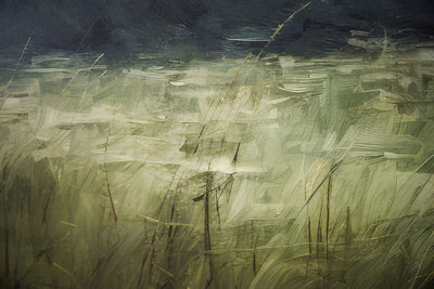 Meadow