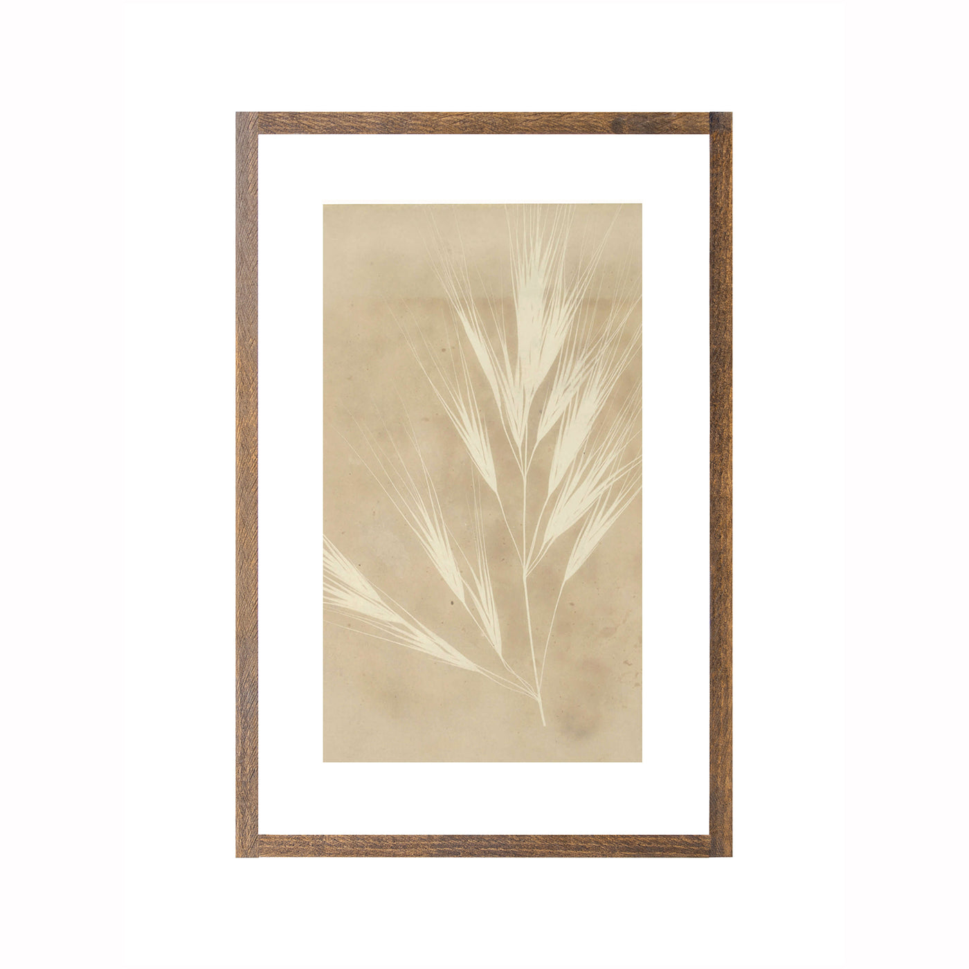 Pressed Wheat
