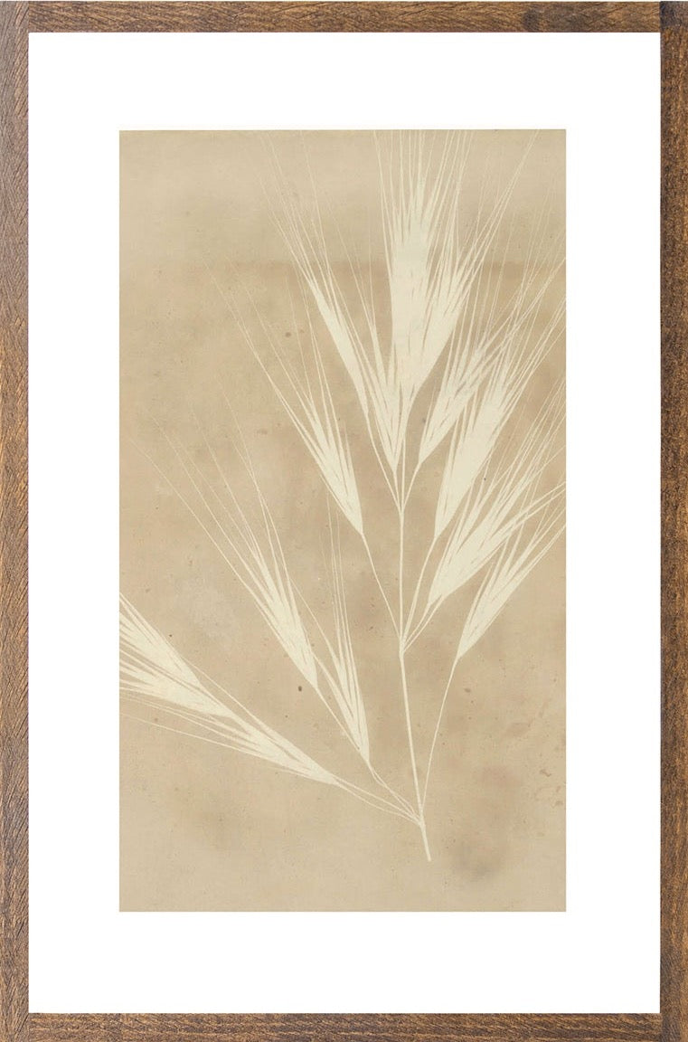 Pressed Wheat