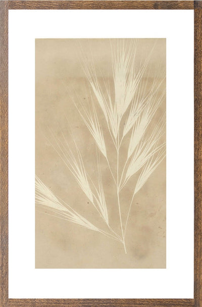 Pressed Wheat