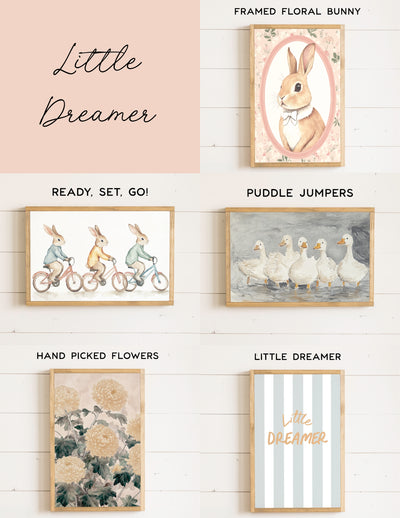 Little Dreamer Collection