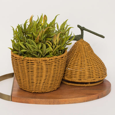 Lidded Lemon Basket