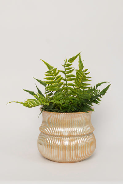 Verdant Pot
