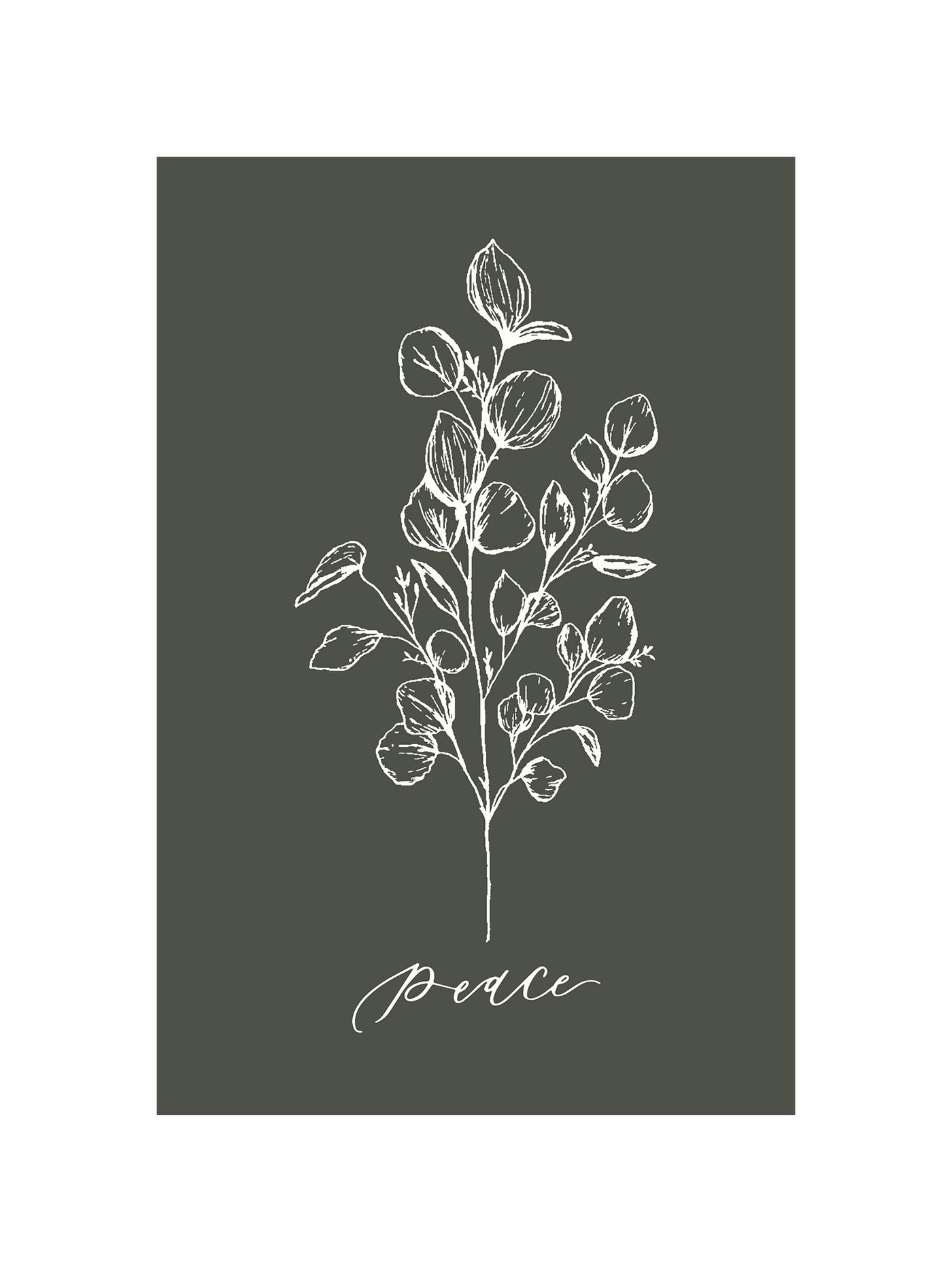 Peace Botanical | McKenzie Beiler