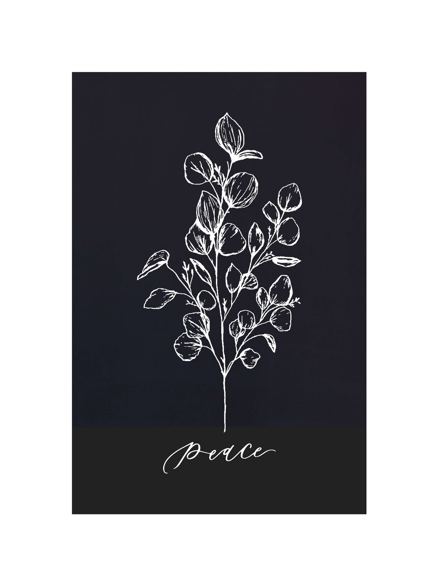 Peace Botanical | McKenzie Beiler