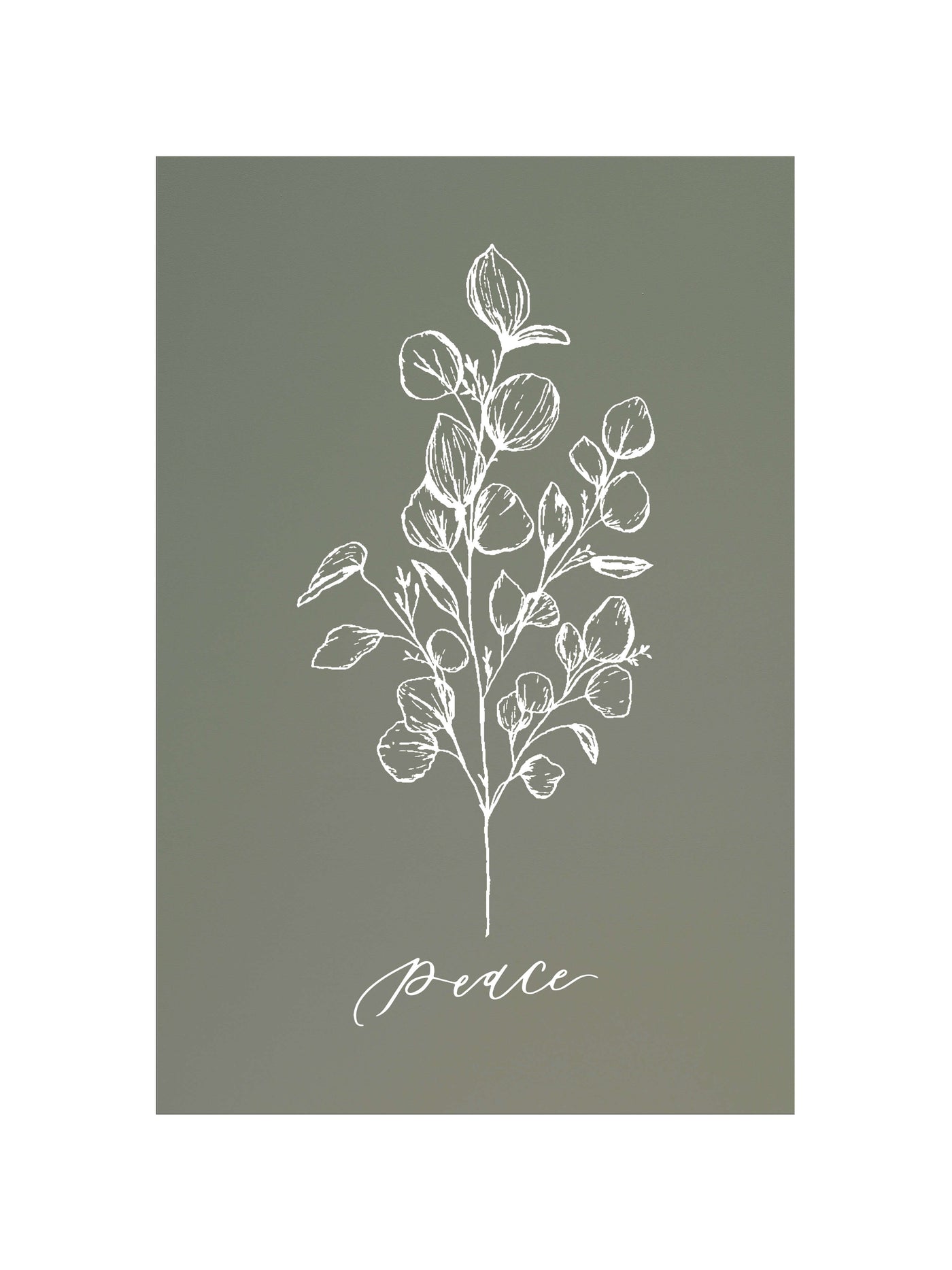 Peace Botanical | McKenzie Beiler
