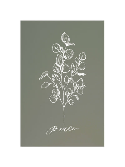 Peace Botanical | McKenzie Beiler