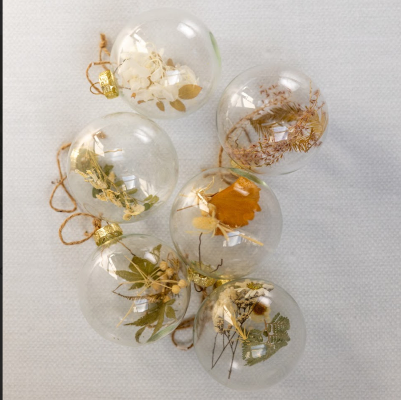Dried Botanicals Glass Ball Ornament | Set of 6